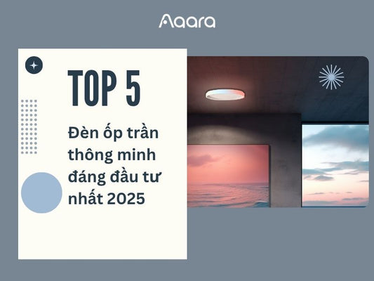 Top 5 đèn ốp trần thông minh đáng mua nhất 2025
